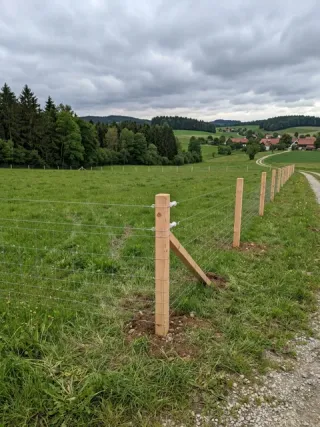 Weidezaun in Wolfsburg - fachgerechte Ausführung vor Ort